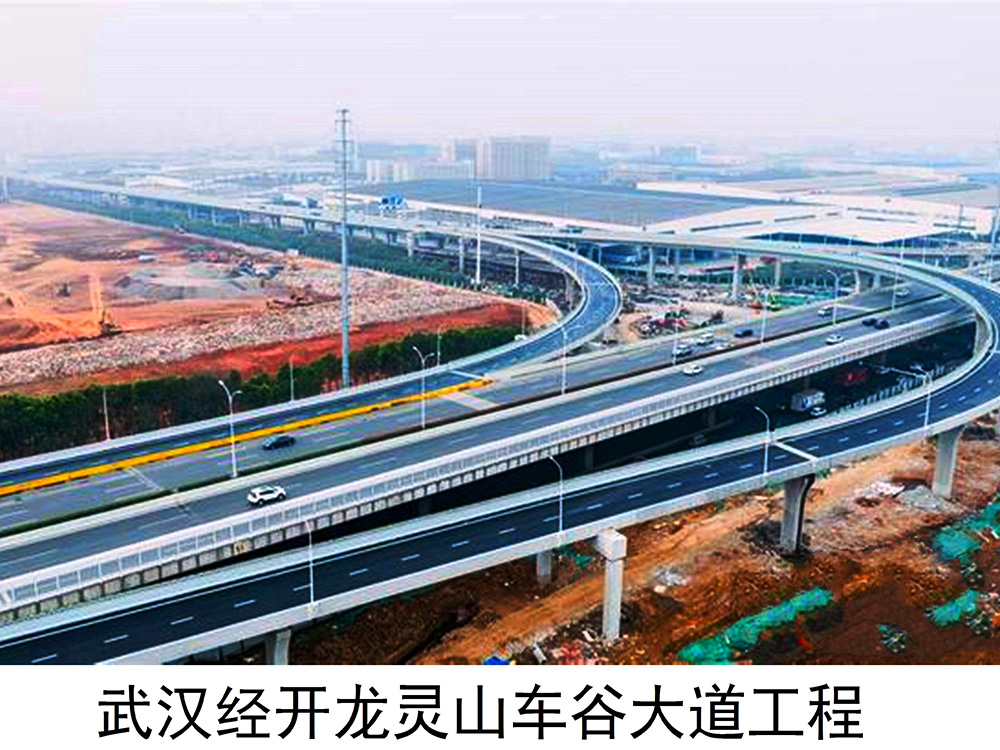 龙灵山全力二路车谷大道